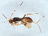  ( - BIOUG56173-H04)  @11 [ ] CreativeCommons - Attribution (2022) CBG Photography Group Centre for Biodiversity Genomics