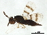  ( - BIOUG51632-F12)  @14 [ ] CreativeCommons - Attribution (2020) CBG Photography Group Centre for Biodiversity Genomics