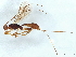  ( - BIOUG56739-B01)  @11 [ ] CreativeCommons - Attribution (2022) CBG Photography Group Centre for Biodiversity Genomics