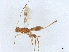  ( - BIOUG51817-D06)  @11 [ ] CreativeCommons - Attribution (2022) CBG Photography Group Centre for Biodiversity Genomics