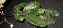  ( - XM_0260_M)  @11 [ ] CreativeCommons - Attribution Non-Commercial Share-Alike (2015) Cam Webb, Endro Setiawan & Hery Yanto Arnold Arboretum of Harvard University