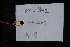  ( - XM_0842_J)  @11 [ ] CreativeCommons - Attribution Non-Commercial Share-Alike (2015) Cam Webb, Endro Setiawan & Hery Yanto Arnold Arboretum of Harvard University