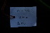  ( - XM_0889_J)  @11 [ ] CreativeCommons - Attribution Non-Commercial Share-Alike (2015) Cam Webb, Endro Setiawan & Hery Yanto Arnold Arboretum of Harvard University