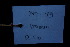  ( - XM_0959_H)  @11 [ ] CreativeCommons - Attribution Non-Commercial Share-Alike (2015) Cam Webb, Endro Setiawan & Hery Yanto Arnold Arboretum of Harvard University