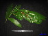  (Knema galeata - XM_0146)  @11 [ ] CreativeCommons - Attribution Non-Commercial Share-Alike (2011) Cam Webb, Endro Setiawan & Hery Yanto Unspecified