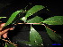  ( - XM_0174)  @11 [ ] CreativeCommons - Attribution Non-Commercial Share-Alike (2011) Cam Webb, Endro Setiawan & Hery Yanto Unspecified