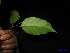  ( - XM_0179)  @11 [ ] CreativeCommons - Attribution Non-Commercial Share-Alike (2011) Cam Webb, Endro Setiawan & Hery Yanto Unspecified
