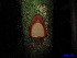  ( - XM_0006)  @11 [ ] CreativeCommons - Attribution Non-Commercial Share-Alike (2011) Cam Webb, Endro Setiawan & Hery Yanto Unspecified