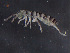  ( - IMPCOLL-52)  @11 [ ] CC-BY-SA (2024) Arnstein Staverlokk Norwegian Institute for Nature Research