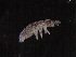  ( - IMPCOLL-57)  @11 [ ] CC-BY-SA (2024) Arnstein Staverlokk Norwegian Institute for Nature Research