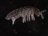  ( - IMPCOLL-82)  @11 [ ] CC-BY-SA (2024) Arnstein Staverlokk Norwegian Institute for Nature Research
