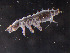  ( - IMPCOLL-85)  @11 [ ] CC-BY-SA (2024) Arnstein Staverlokk Norwegian Institute for Nature Research