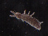  ( - IMPCOLL-86)  @11 [ ] CC-BY-SA (2024) Arnstein Staverlokk Norwegian Institute for Nature Research