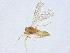  ( - BIOUG52379-C10)  @11 [ ] CreativeCommons - Attribution (2022) CBG Photography Group Centre for Biodiversity Genomics