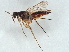  ( - BIOUG51518-D05)  @11 [ ] CreativeCommons - Attribution (2022) CBG Photography Group Centre for Biodiversity Genomics