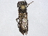 ( - BIOUG51721-C02)  @11 [ ] CreativeCommons - Attribution (2022) CBG Photography Group Centre for Biodiversity Genomics