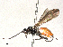  ( - BIOUG51323-D06)  @11 [ ] CreativeCommons - Attribution Share-Alike (2024) CBG Photography Group Centre for Biodiversity Genomics