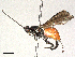  ( - BIOUG51323-D07)  @11 [ ] CreativeCommons - Attribution Share-Alike (2024) CBG Photography Group Centre for Biodiversity Genomics