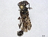  ( - BIOUG51726-B04)  @11 [ ] CreativeCommons - Attribution (2022) CBG Photography Group Centre for Biodiversity Genomics