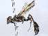  ( - BIOUG51726-B04)  @11 [ ] CreativeCommons - Attribution (2022) CBG Photography Group Centre for Biodiversity Genomics