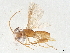 ( - BIOUG52293-H01)  @11 [ ] CreativeCommons - Attribution (2021) CBG Photography Group Centre for Biodiversity Genomics