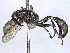  ( - BIOUG51728-A05)  @11 [ ] CreativeCommons - Attribution (2022) CBG Photography Group Centre for Biodiversity Genomics