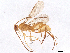  ( - BIOUG52668-B09)  @11 [ ] CreativeCommons - Attribution (2021) CBG Photography Group Centre for Biodiversity Genomics
