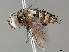  ( - BIOUG51752-H10)  @11 [ ] CreativeCommons - Attribution (2020) CBG Photography Group Centre for Biodiversity Genomics