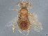  ( - BIOUG61615-F11)  @11 [ ] CreativeCommons - Attribution (2022) CBG Photography Group Centre for Biodiversity Genomics
