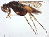  ( - BIOUG59346-A02)  @11 [ ] CreativeCommons - Attribution (2022) CBG Photography Group Centre for Biodiversity Genomics