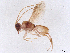  ( - BIOUG61301-E06)  @11 [ ] CreativeCommons - Attribution (2021) CBG Photography Group Centre for Biodiversity Genomics