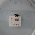  ( - ORTPL1082)  @11 [ ] CreativeCommons Attribution (2024) Dept Invertebrate Zoology and Hydrobiology, University of Lodz University of Lodz