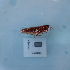  ( - ORTPL1226)  @11 [ ] CreativeCommons Attribution (2024) Dept Invertebrate Zoology and Hydrobiology, University of Lodz University of Lodz