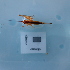  ( - ORTPL1375)  @11 [ ] CreativeCommons Attribution (2024) Dept Invertebrate Zoology and Hydrobiology, University of Lodz University of Lodz