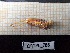  ( - ORTPL_788)  @11 [ ] CreativeCommons Attribution (2024) Dept Invertebrate Zoology and Hydrobiology, University of Lodz University of Lodz