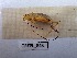  ( - ORTPL_848)  @11 [ ] CreativeCommons Attribution (2024) Dept Invertebrate Zoology and Hydrobiology, University of Lodz University of Lodz