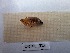  ( - ORTPL_915)  @11 [ ] CreativeCommons Attribution (2024) Dept Invertebrate Zoology and Hydrobiology, University of Lodz University of Lodz
