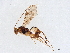  ( - BIOUG61695-F05)  @11 [ ] CreativeCommons - Attribution (2021) CBG Photography Group Centre for Biodiversity Genomics