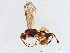  ( - BIOUG61695-G04)  @11 [ ] CreativeCommons - Attribution (2021) CBG Photography Group Centre for Biodiversity Genomics