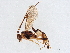  ( - BIOUG61824-B11)  @11 [ ] CreativeCommons - Attribution (2021) CBG Photography Group Centre for Biodiversity Genomics