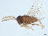  ( - BIOUG63042-G02)  @11 [ ] CreativeCommons - Attribution (2022) CBG Photography Group Centre for Biodiversity Genomics