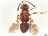  ( - BIOUG62019-A06)  @11 [ ] CreativeCommons - Attribution (2022) CBG Photography Group Centre for Biodiversity Genomics