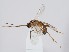  ( - ZMUO.065399)  @11 [ ] by-nc (2023) Marko Mutanen University of Oulu