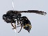  ( - ZMUO.065621)  @11 [ ] by-nc (2023) Marko Mutanen University of Oulu