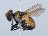  ( - ZMUO.065641)  @11 [ ] by-nc (2023) Marko Mutanen University of Oulu