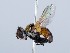  ( - ZMUO.065647)  @11 [ ] by-nc (2023) Marko Mutanen University of Oulu