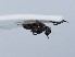  ( - ZMUO.065716)  @11 [ ] by-nc (2023) Marko Mutanen University of Oulu