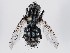  ( - ZMUO.065775)  @11 [ ] by-nc (2023) Marko Mutanen University of Oulu