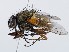  ( - ZMUO.066065)  @11 [ ] by-nc (2023) Marko Mutanen University of Oulu