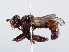 ( - ZMUO.066219)  @11 [ ] by-nc (2023) Marko Mutanen University of Oulu